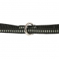 IDC-Leine-Gurt, doppelt verstellbar, schwarz 14 mm x 2,2 m
