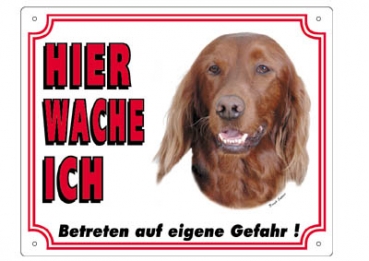Warntafel Irish Setter