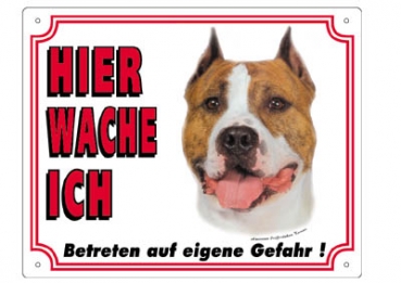 Warntafel American Staffordshire Terrier