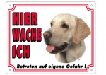 Warntafel Labrador hell