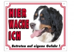 Warntafel Berner Sennenhund