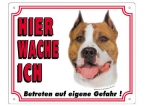 Warntafel American Staffordshire Terrier