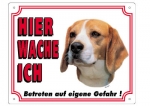 Warntafel Beagle