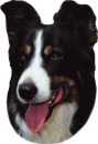 2 Stk. Aufkleber, Hunderasse:Border Collie 120x150mm