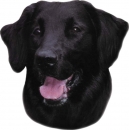 2 Stk. Aufkleber, Hunderasse:Flat Coated Retriever 120x150mm